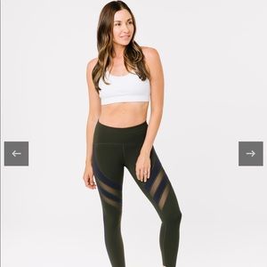 ZYIA Dark Olive Mesh Luxe 7/8 24" Size 14-16